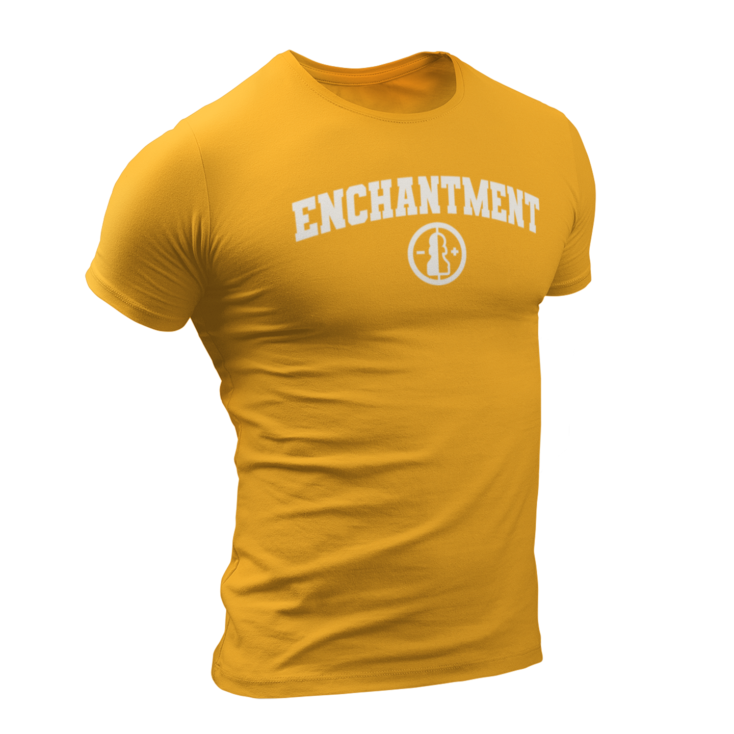 dnd magic school enchantment tshirt