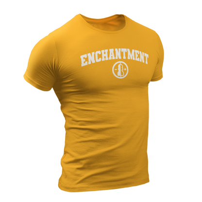 dnd magic school enchantment tshirt