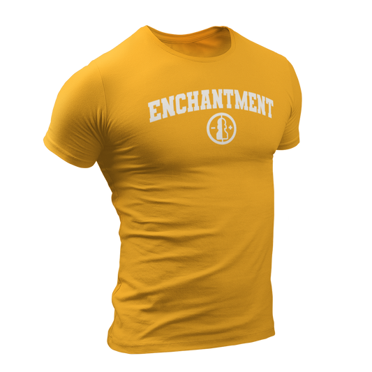 dnd magic school enchantment tshirt