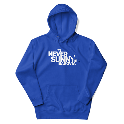 It's Never Sunny in Barovia Hoodie
Blue