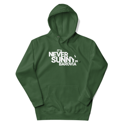 It's Never Sunny in Barovia Hoodie
Green