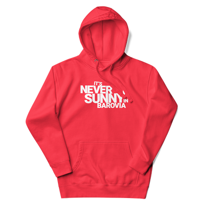 It's Never Sunny in Barovia Hoodie
Red